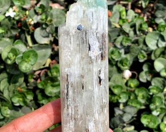 Lemon Green Kunzite With Inside Dendrites From Afghanistan 229 Gram