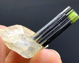 Green Cap Tourmaline Crystal on Quartz from Pakistan 29.05 Carats