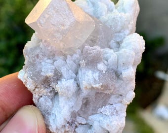 Natural Terminated Pink Morganite Crsytals On Albite From Afghanistan 55 Gram