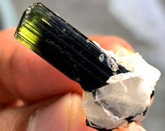 Green Cap Tourmaline Crystal with Quartz from Pakistan 30.0 Carats