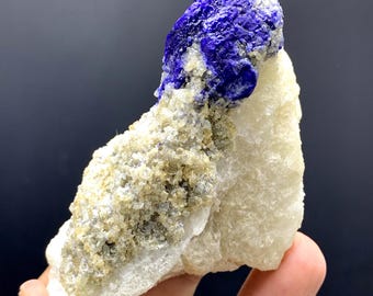 金色の黄鉄鉱を含むインクブルーのラピスラズリ標本、アフガニスタン産