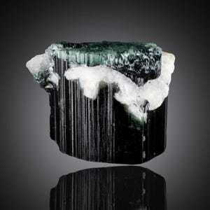 May include: A raw tourmaline crystal specimen featuring a deep black, vertically striated base that transitions into a translucent dark green top, accented by a prominent, irregular band of opaque white mineral deposits across the upper section.
