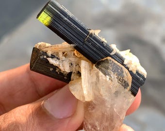Green Cap Tourmaline Crystal with Quartz and Albite combined from Pakistan 95.00 Carats
