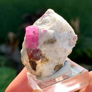 May include: A raw, natural mineral specimen featuring a vibrant pink crystal embedded in a matrix of white and gray stone. The mineral is mounted on a clear, rectangular display stand, showcasing its unique texture and color variations.