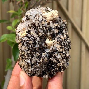 May include: A natural mineral specimen featuring a cluster of black tourmaline crystals embedded in a matrix of quartz and other minerals. The crystals are needle-like and densely packed, with a clear, crystalline structure. The overall color is a mix of black, white, and beige.