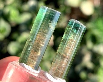 Watermelon Bicolor Tourmaline Crystals Pair from Afghanistan 24.00 Carats