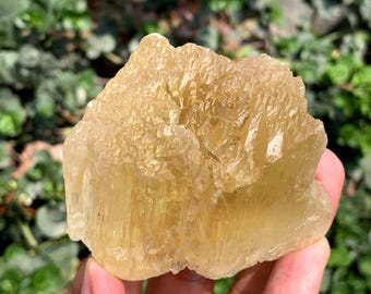 Yellow Triphane Kunzite With Etched Terminations from Afghanistan 260 Gram
