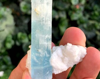 クリーブランド石入りアクアマリンクリスタル、パキスタンのシガール