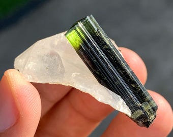 Green Cap Tourmaline Crystals on Quartz from Pakistan 21 Gram