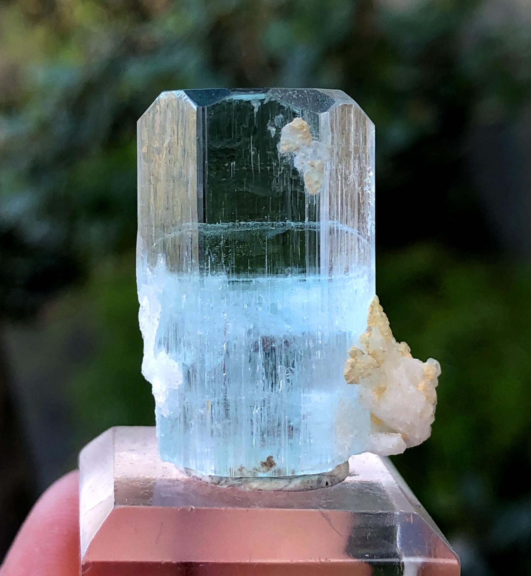 パキスタン　アクアマリン 高透明パステルブルー　自立するスリム結晶 コレクション パキスタン産透明ブルーアクアマリンクリスタル15グラム - Etsy 日本