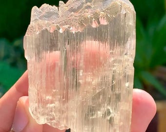 Transparent Yellow Triphane Kunzite Crystal with Spike terminations from Afghanistan 111 Gram