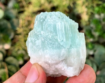 Cetro de cristal de aquamorganita: espécimen de berilo bicolor, Pakistán (58 gramos)