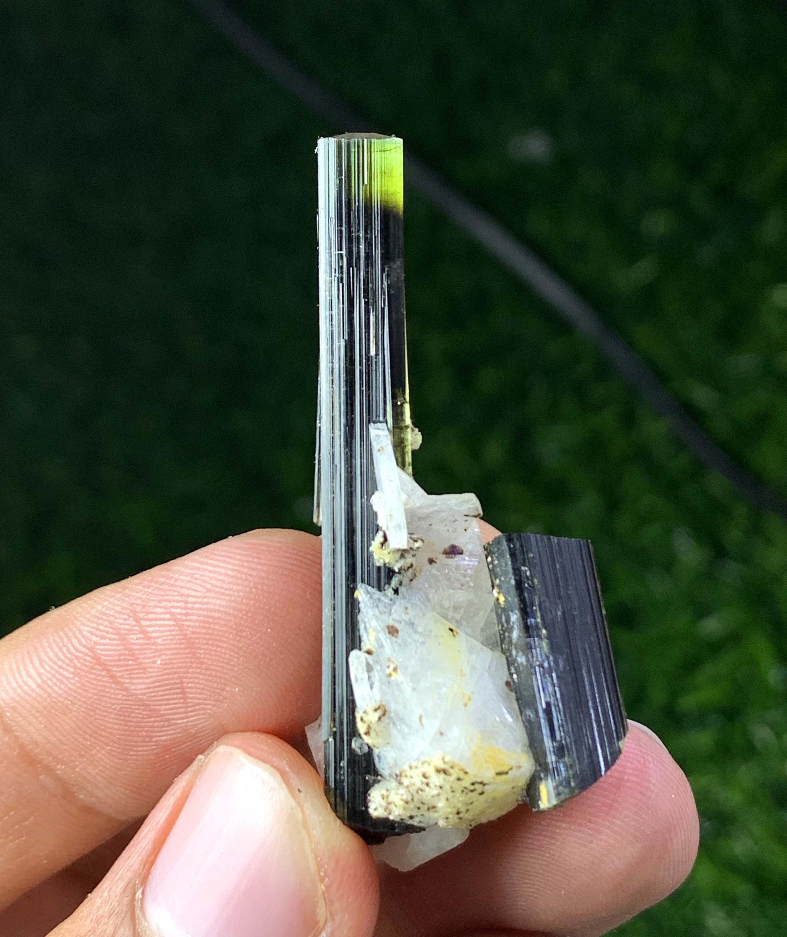 パキスタン産 クォーツ上のグリーンキャップトルマリン結晶 46.85