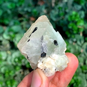 Ejemplar de fluorita bicolor con turmalina Schorl de Pakistán (67 gramos)