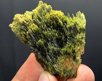 May include: A vibrant, natural mineral specimen featuring a cluster of radiating, needle-like crystals. The crystals display a striking combination of green and yellow hues, with a dark base. The overall form is jagged and textured.