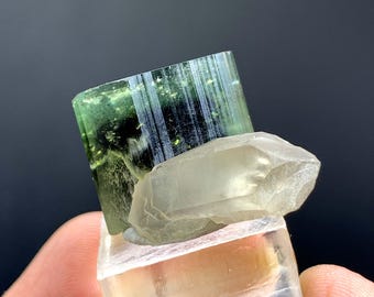 Cristal de Turmalina com Tampa Verde e Quartzo do Paquistão 54,00 Quilates
