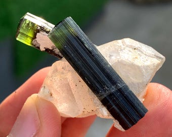 Green Cap Tourmaline Crystal with Quartz combined from Pakistan 75.00 Carats