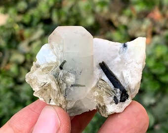 Cristal de aguamorganita bicolor con turmalina sobre feldespato y mica de Pakistán (44 gramos)