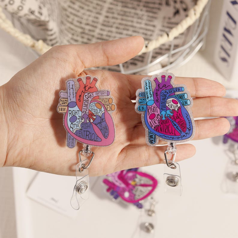 May include: Two heart-shaped badge reels with anatomical diagrams. The diagrams feature labels like "aorta," "atrium," and "ventricle" in various colors. Each reel has a clear plastic strap and a retractable cord with a metal clip.