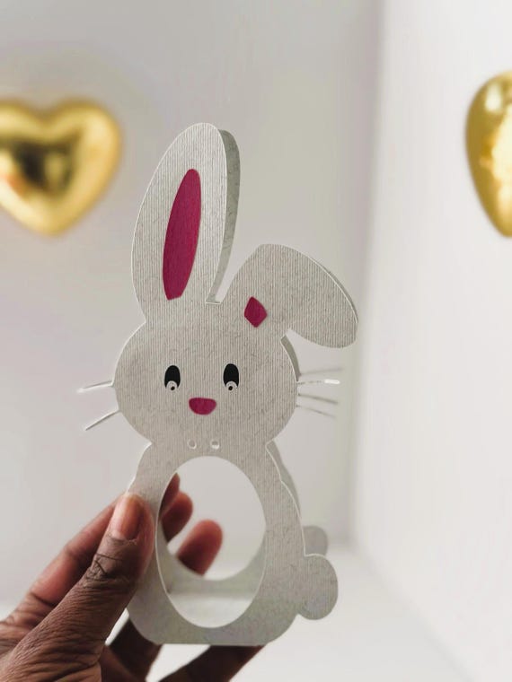 Rabbit for kinder