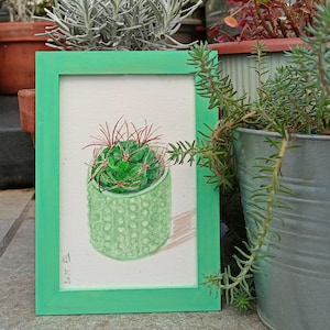 Cactus: Acquerello di pianta incorniciata