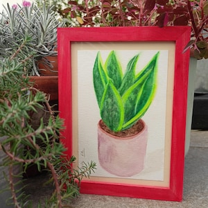 Sanseveria in vaso rosa: acquerello di pianta incorniciata