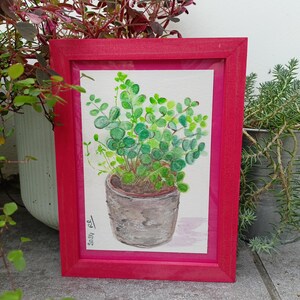 Portulacaria : aquarelle de plante encadrée