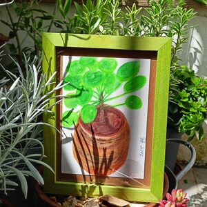 Pilea: acquerello vegetale incorniciato