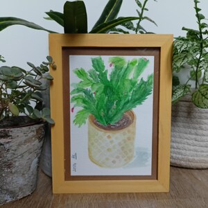Schlumbergera: acquerello di pianta incorniciata
