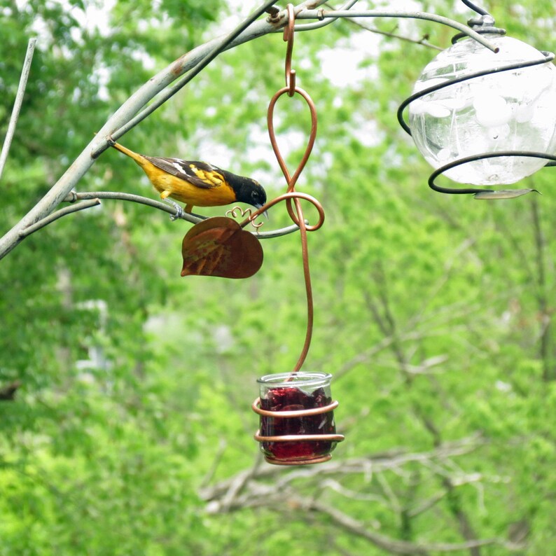 Oriole Feeder Grape Jelly Feeder Single Glass Cup Etsy