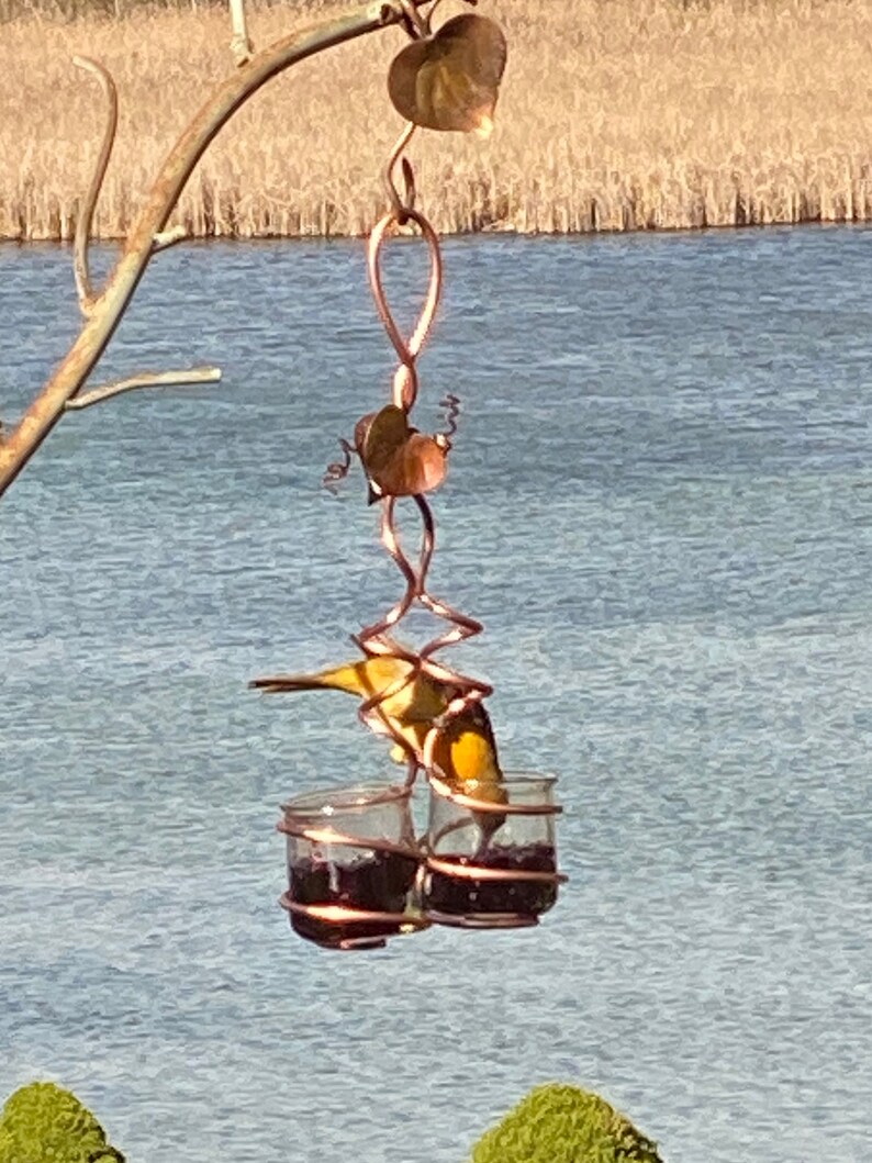 oriole feeder amazon oriole feeder amazon