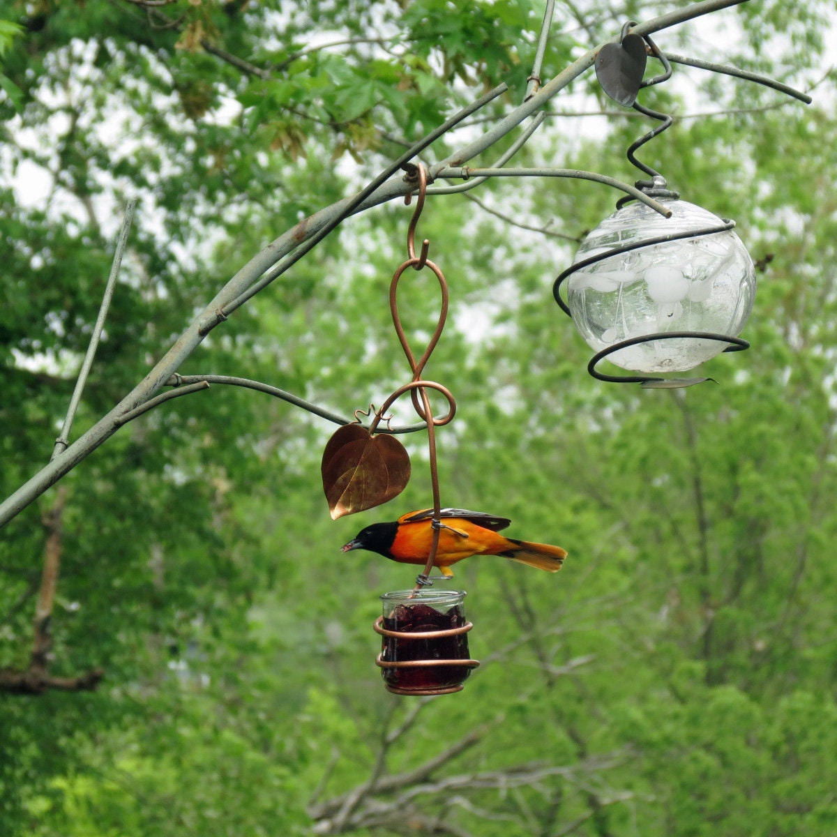 Oriole Feeder Grape Jelly Feeder Single Glass Cup Etsy