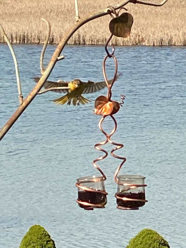 Oriole Feeder Grape Jelly Feeder Double Glass Cup Etsy
