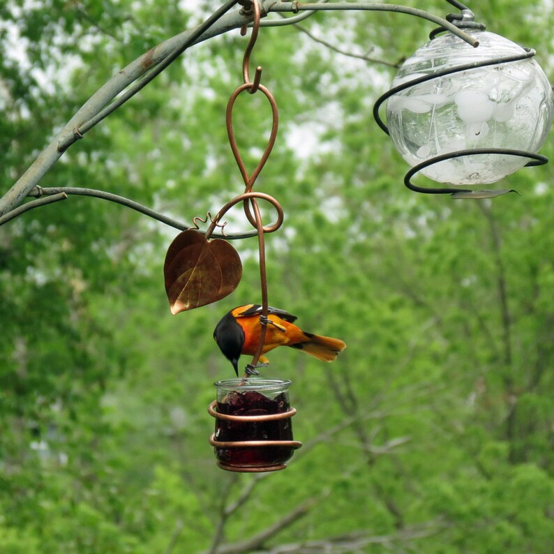 oriole feeder oriole feeder