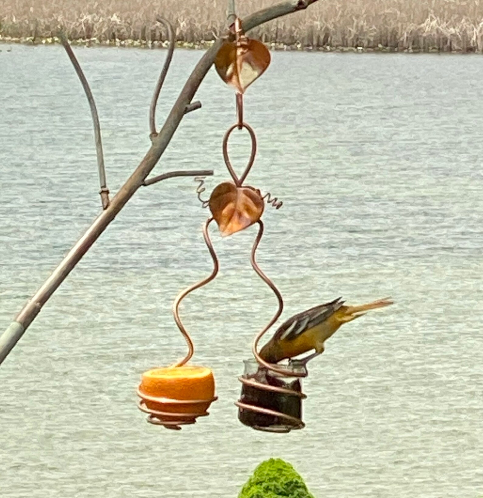 Oriole Feeder Orange & Grape Jelly Feeder Copper Bird Etsy