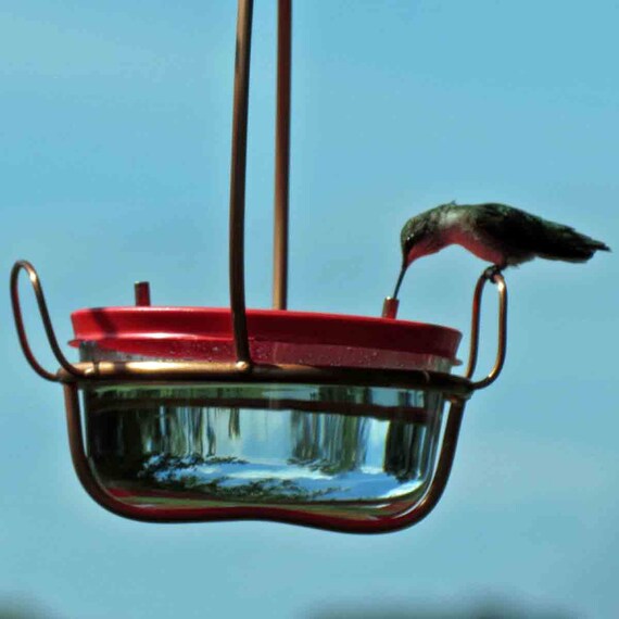 Hummingbird Feeder Dual Port Copper Garden Art Glass Etsy