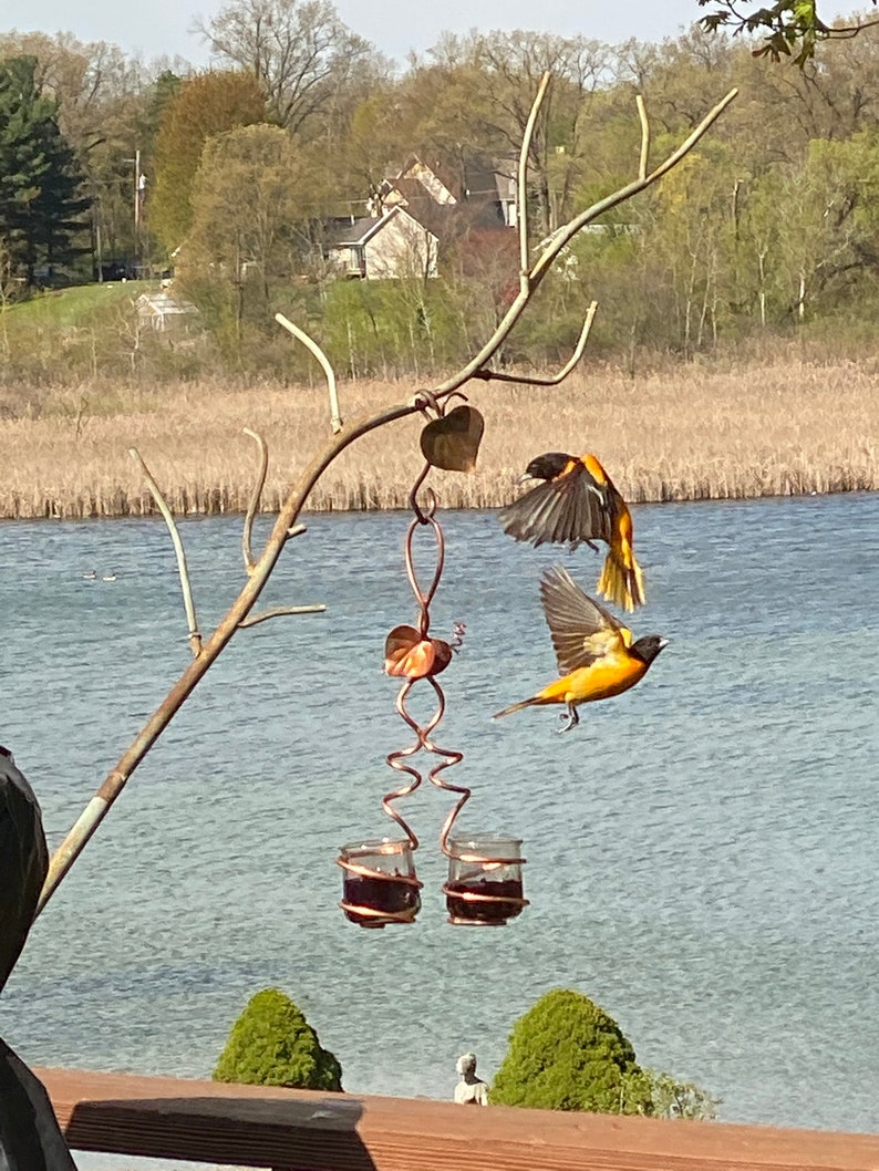 Oriole Feeder Grape Jelly Feeder Double Glass Cup Etsy