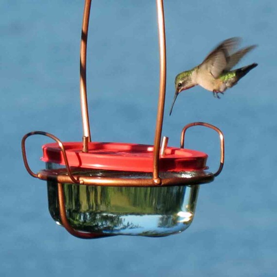 Hummingbird Feeder Large Dual Port Garden Art Glass Etsy