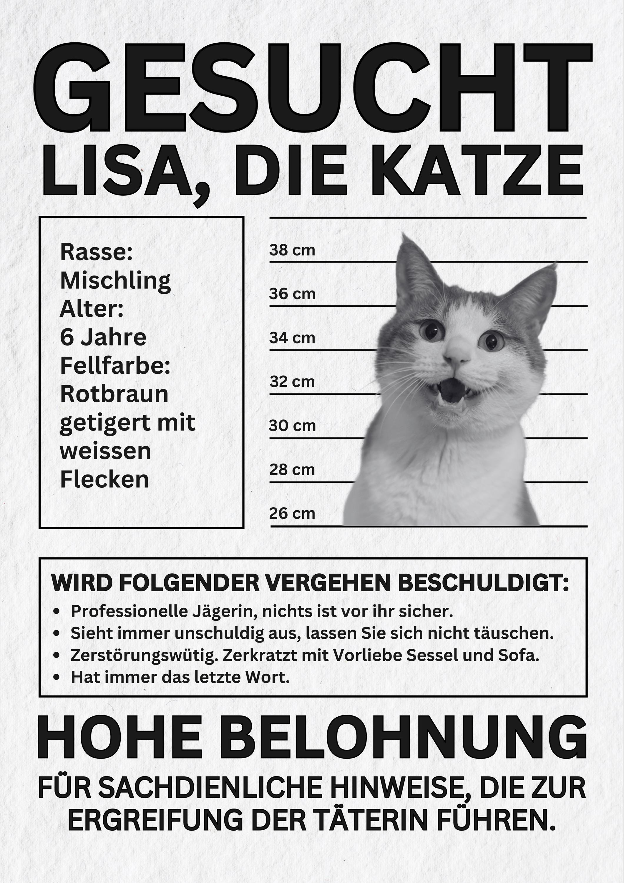 I couldn't resist their cuteness': Two Floofy Fuzzball Kittens Use Their  Powers of Purrfect Purrsuasion to Steal One Wholesome Hooman's Heart, and  They Never Stood a Chance - I Can Has Cheezburger?, image size:2120x3000