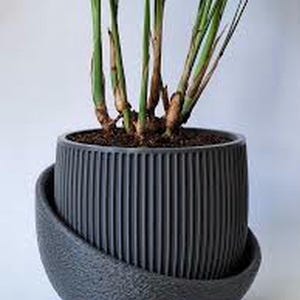 May include: A dark gray, ribbed ceramic planter with a matching saucer, holding a green plant with long, slender leaves. The planter has a modern, minimalist design, suitable for indoor or outdoor use.