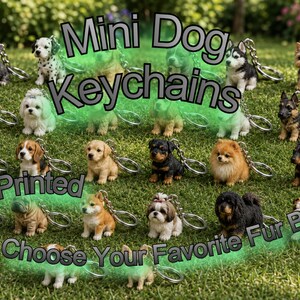 May include: A collection of miniature dog keychains featuring various breeds including a Schnauzer, Dalmatian, Husky, Yorkshire Terrier, Beagle, Golden Retriever, Rottweiler, Pomeranian, and Shih Tzu, each with a metal ring attached for hanging.