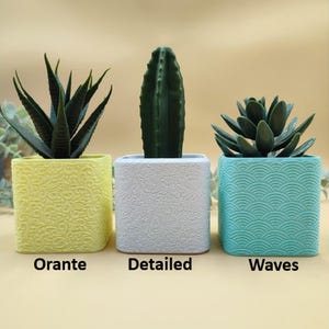 May include: Three square planters containing small green succulents. The yellow planter features an Orante pattern, the white planter has a Detailed texture, and the teal planter displays a Waves pattern. Each planter is a distinct color.