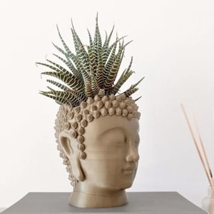 May include: A light brown, sculpted planter shaped like a Buddha head with a textured, coiled hairstyle. A spiky, dark green succulent plant with white horizontal stripes grows out of the top of the head, creating a vibrant, contrasting display.