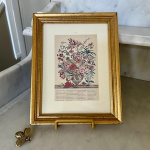 Vintage JULY Botanical Print 12 Months of Flowers: Robert Furber/Pieter Casteels in Gold Frame
