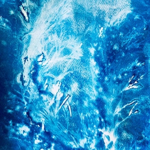 Cyanotype Aquatique
