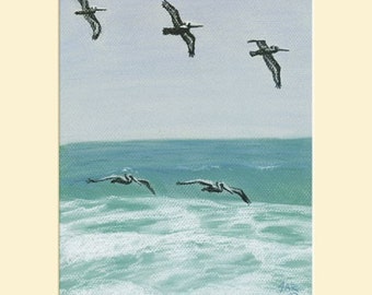 Pelican Squadron 8x10 print