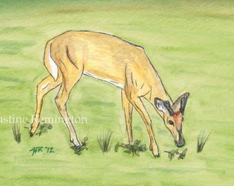 Young Buck Grazing - Original watercolor painting 6x4