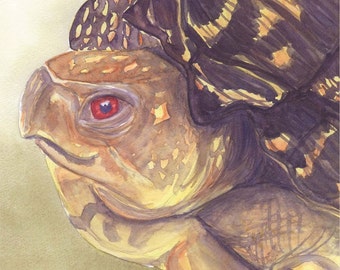 Garden Box Turtle - Original painting, watercolor