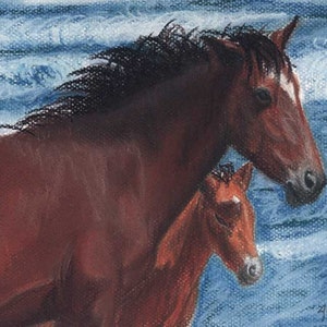 Outer Banks Ponies reproduction print in off-white mat image 1