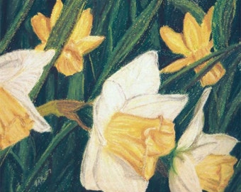 Daffodils soft pastel - reproduction print in off-white mat